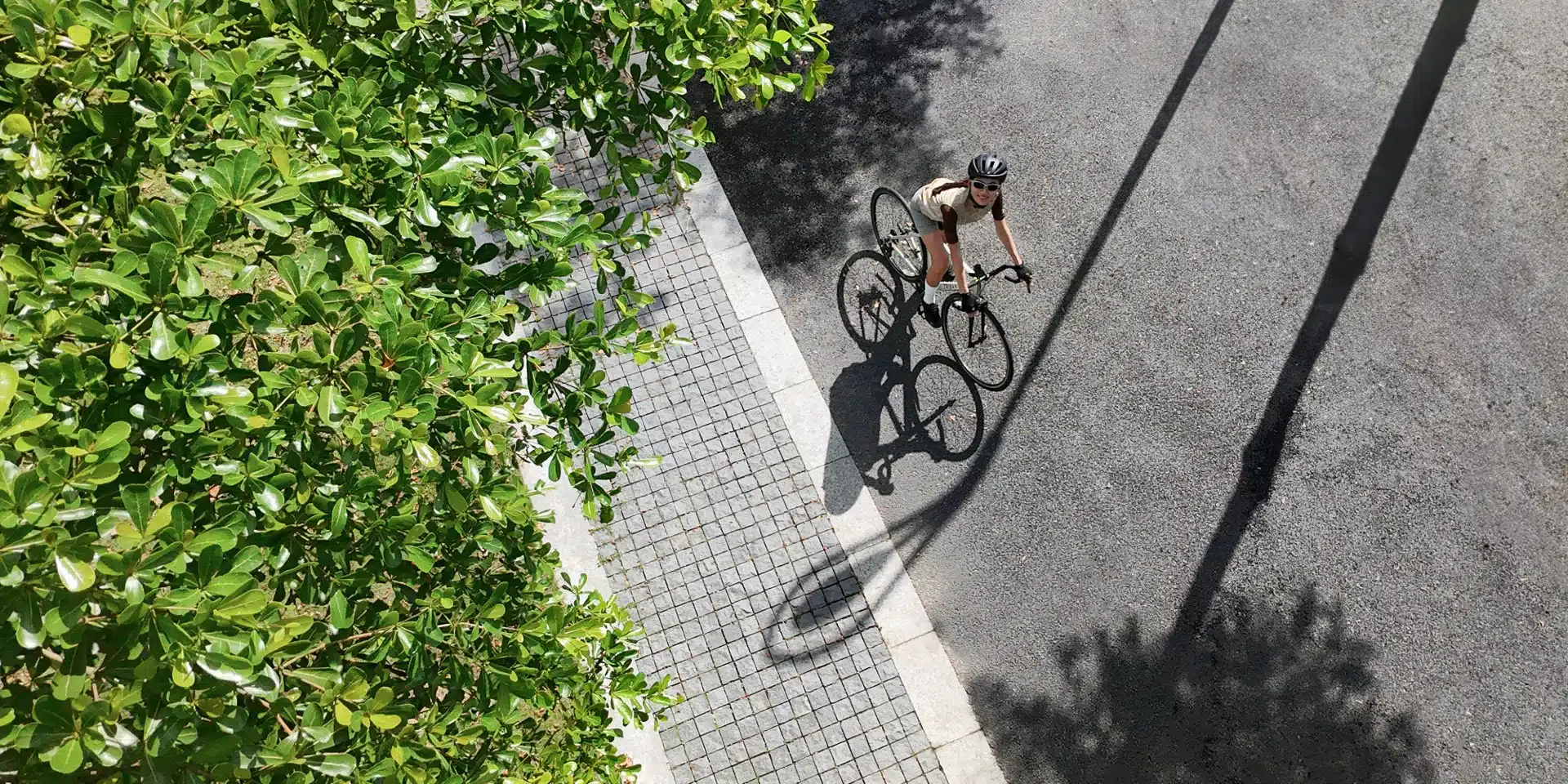 Độ phân giải 4K sắc nét