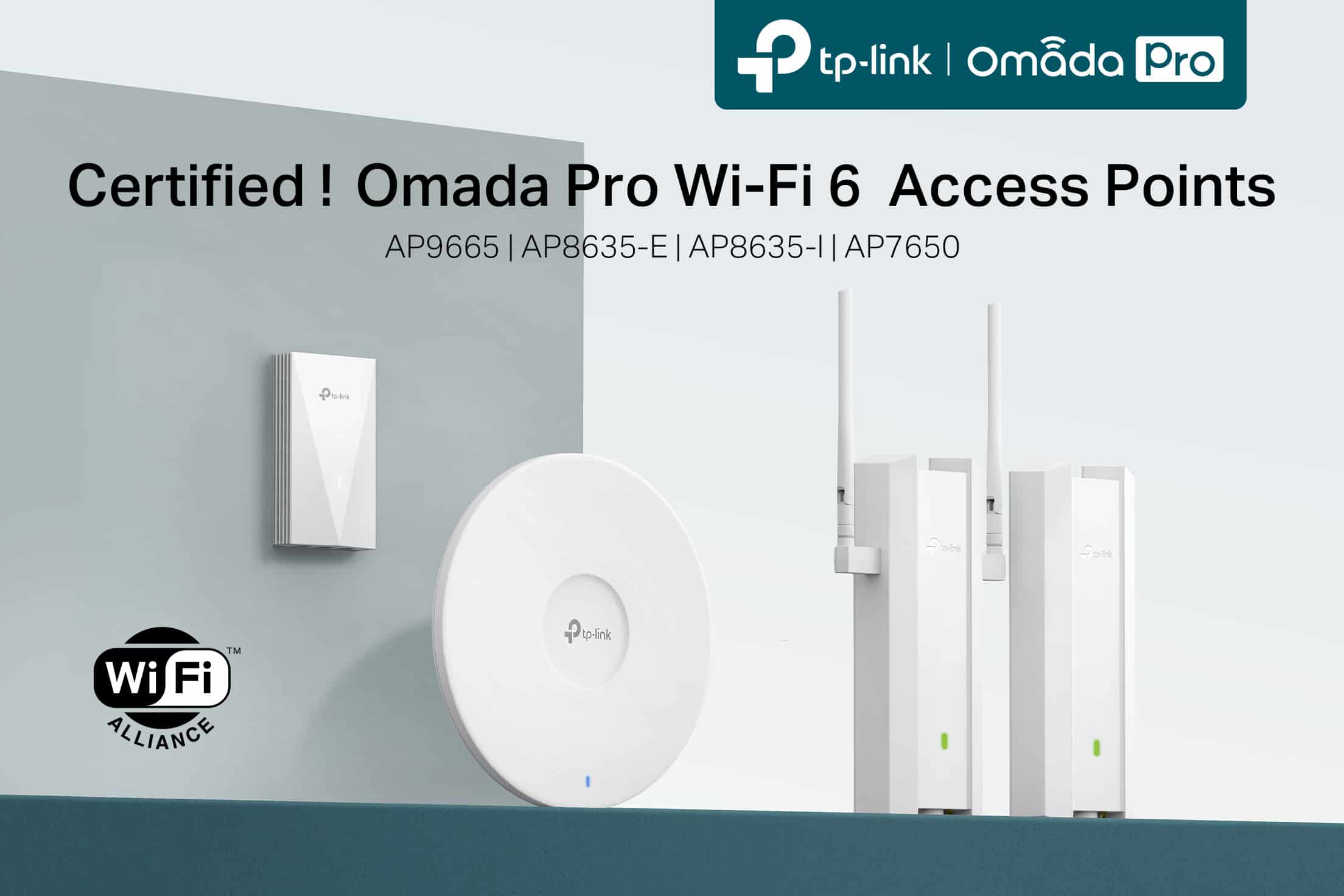 Omada Pro Access Point