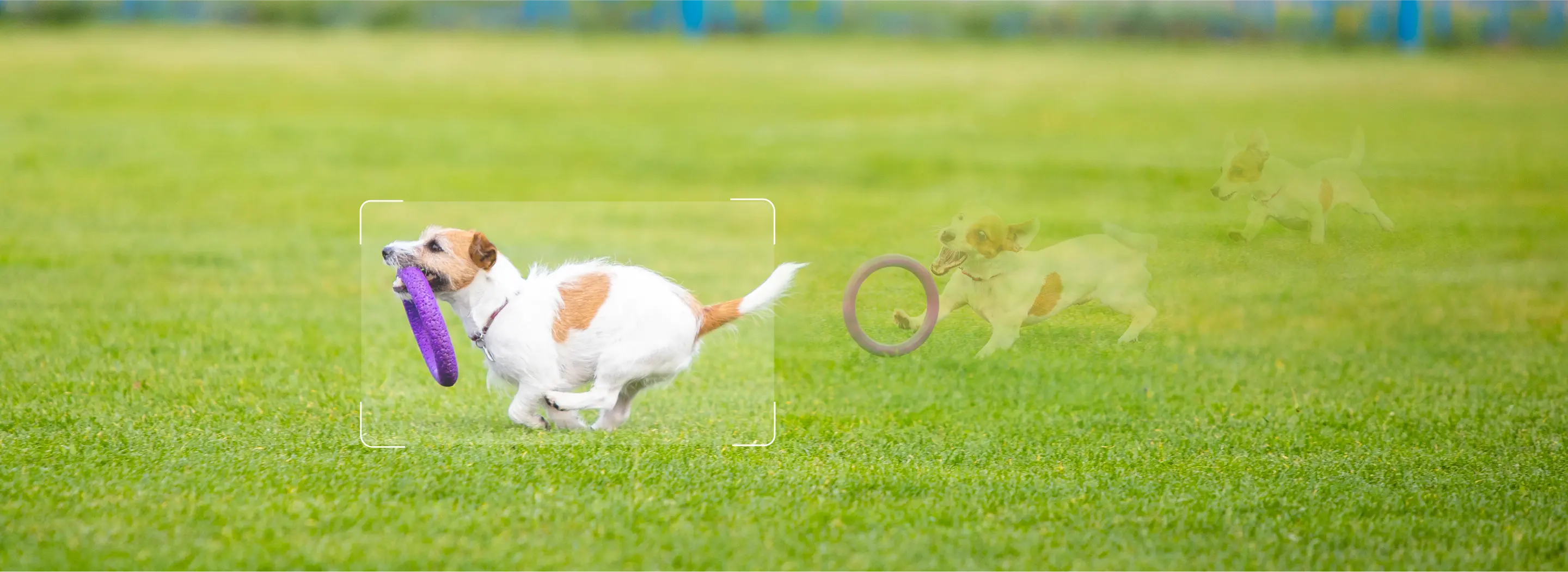 Phát hiện chuyển động (Motion Detection).