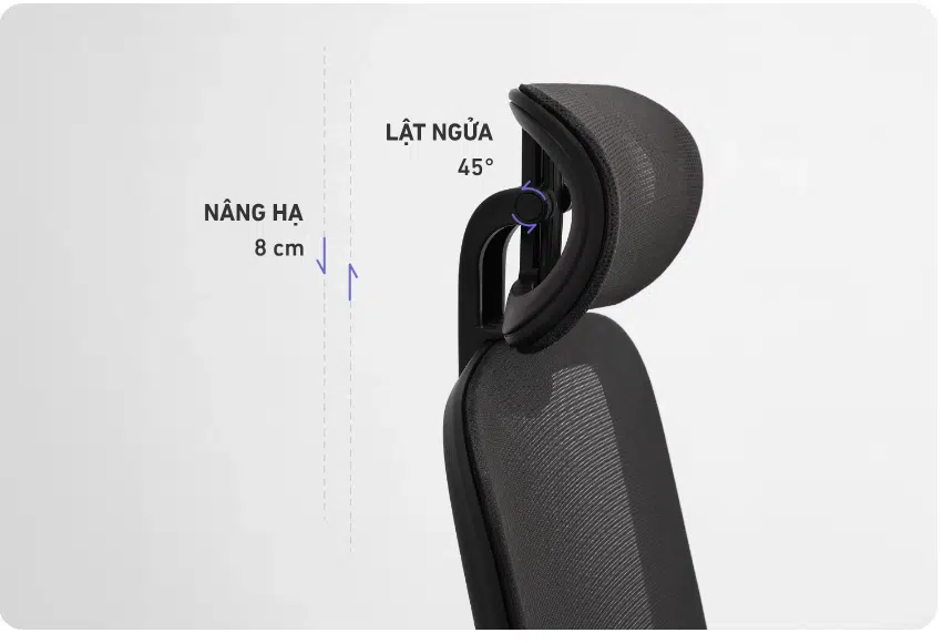 Thiết Kế Công Thái Học - Bảo Vệ Sức Khỏe