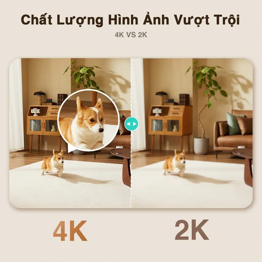Hình Ảnh 4K Siêu Nét