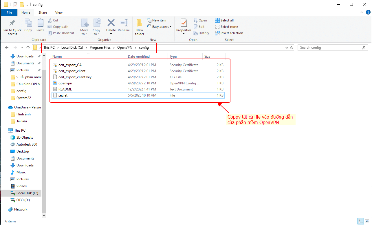 Coppy các file vào phần mềm OpenVPN