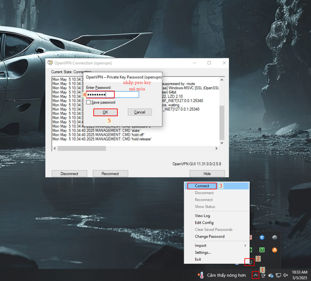 Thực hiện kết nối OpenVPN